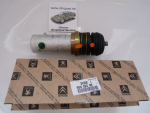 Federzylinder XM Hinten