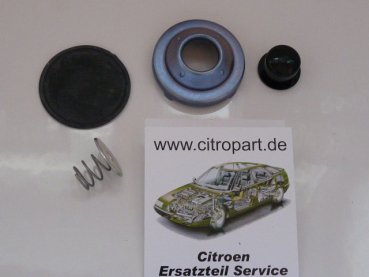 Reparaturset Diesel Vorförderpumpe